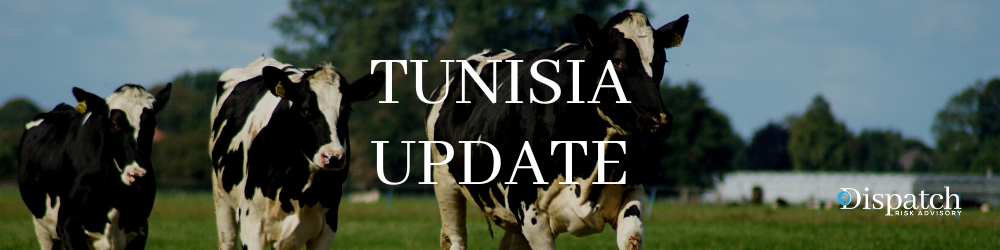 Tunisia: Decline in Agricultural Investments Could Portend More Shortages