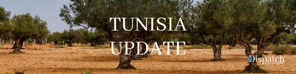 Tunisia: As Drought Looms, Promise Remains in Olive Oil Production