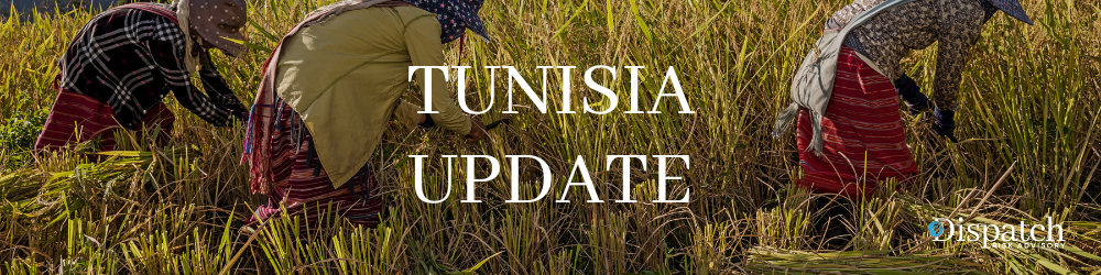 Tunisia: Deaths, Injuries from High-Risk Transport of Agricultural Workers